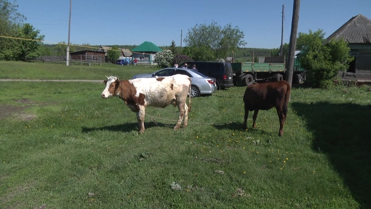 Мини-фермы — на максимум