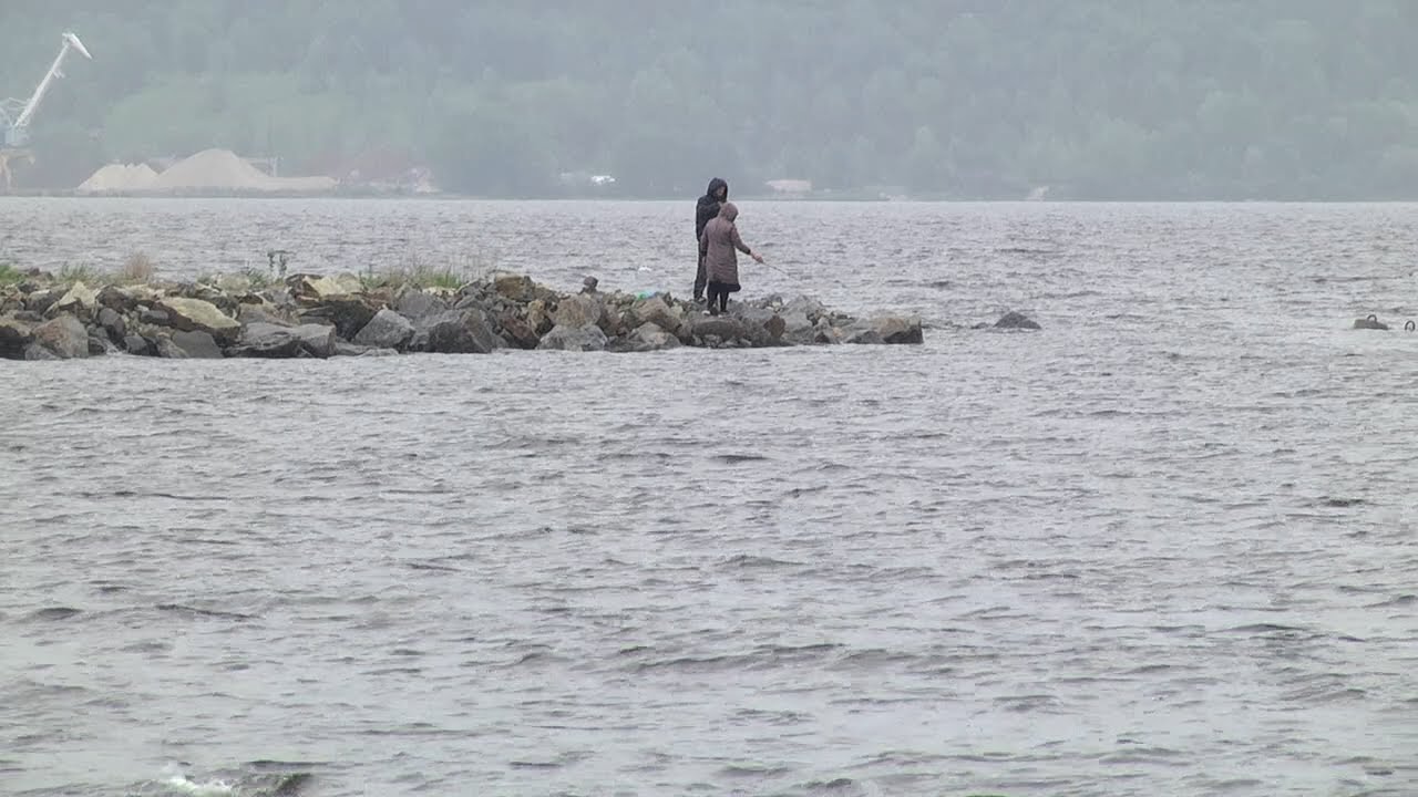 Волги стало больше