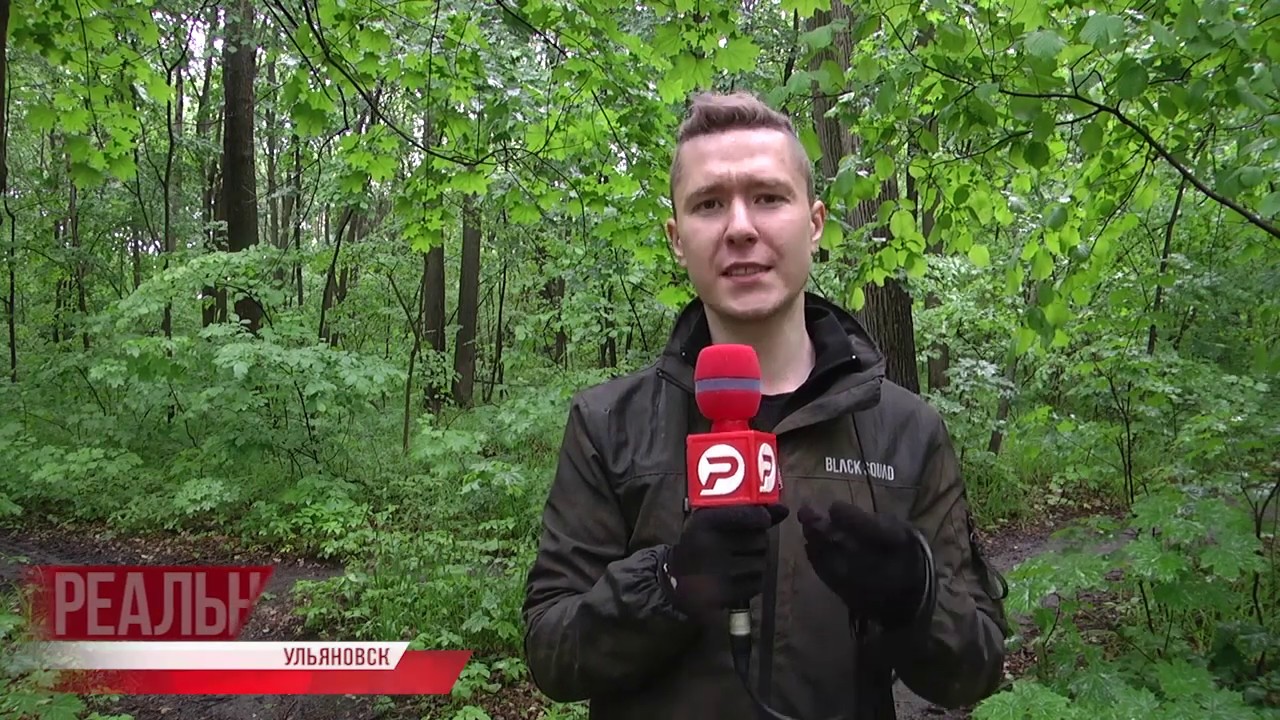 В лесу леса не найти