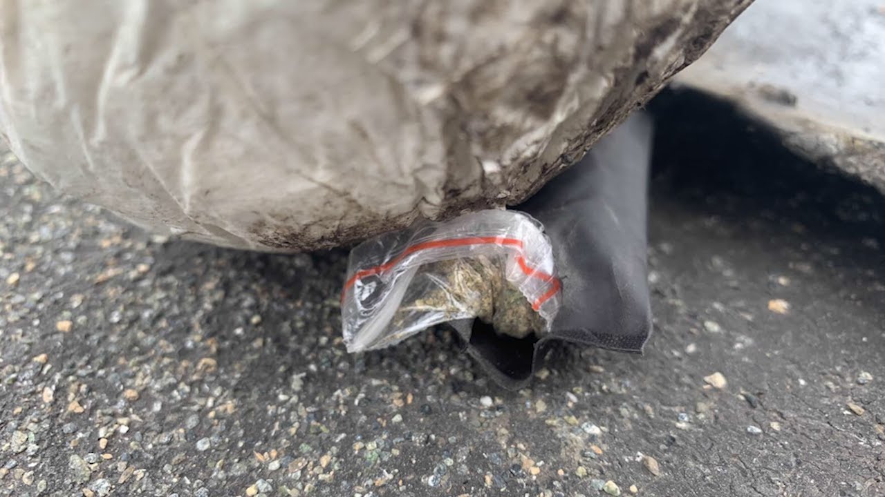 В Мостовой мышь не проскочит