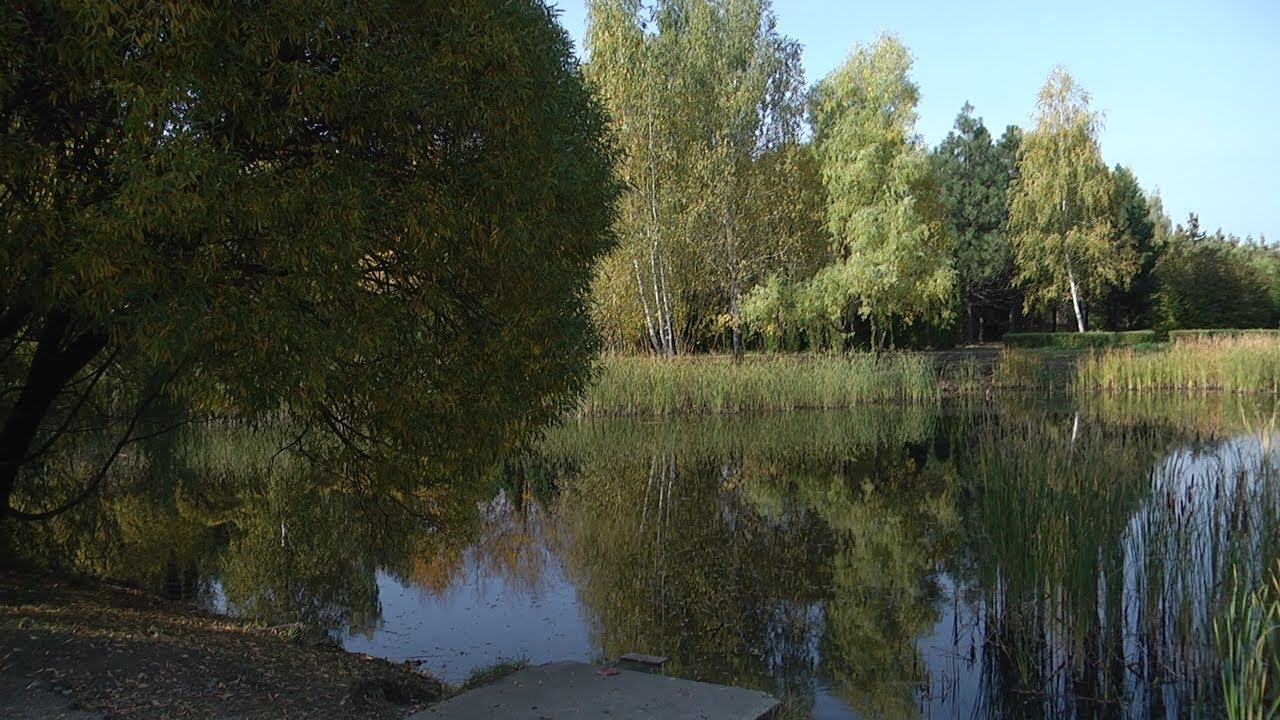 Экология области: подведены итоги национального рейтинга «Зелёный патруль»