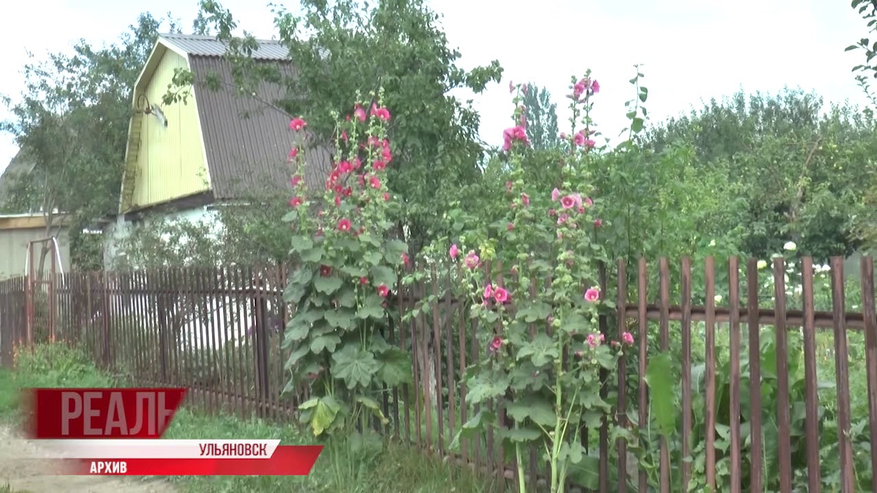 «Дня жестянщика» не будет. Посчитали садоводов. Талые воды