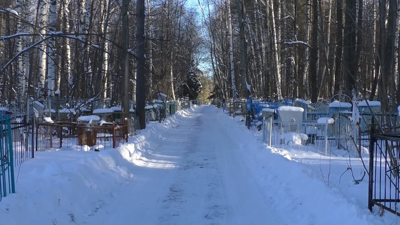 Погост большого города. Ситуация в Димитровграде