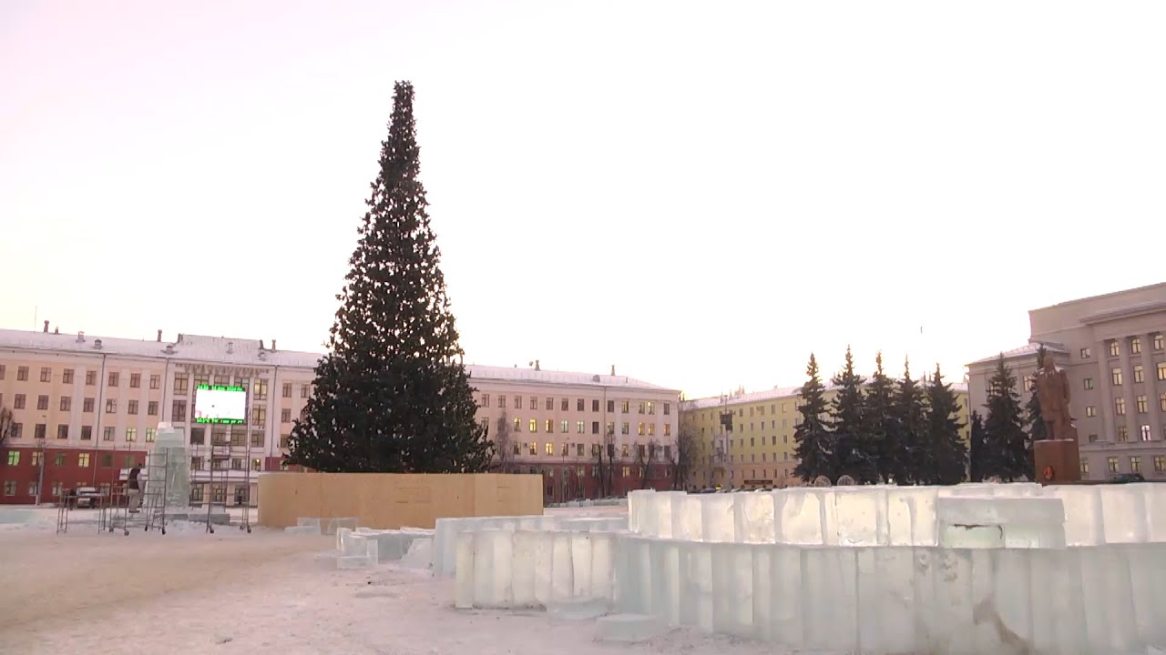 Колючие цены на зелёных красавиц в ПФО
