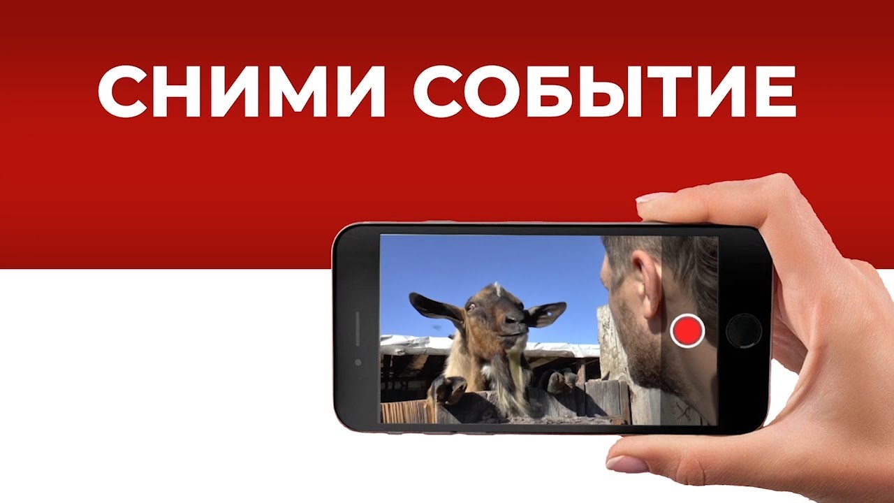 Мобильный репортёр: интересные события, необычные случаи и значимые происшествия недели
