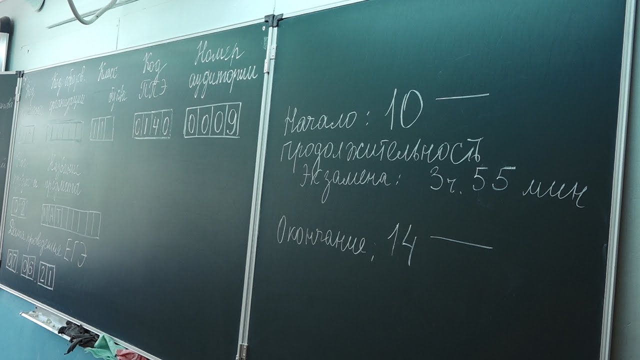 Пока не сдали нервы, пора сдавать ЕГЭ. Как пережить экзамены и не попасть в больницу?