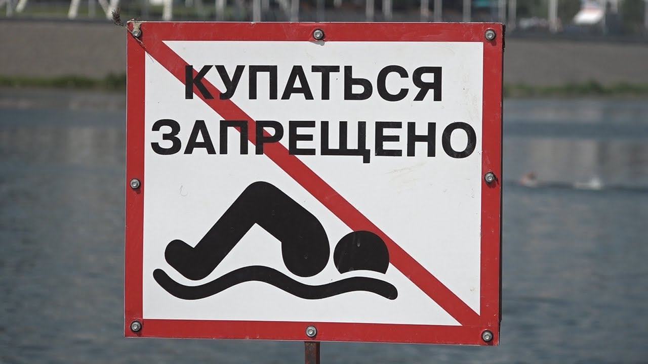 Цветет и пахнет. От зеленой Волги досталось всем: желающим искупаться, загорающим и рыбакам