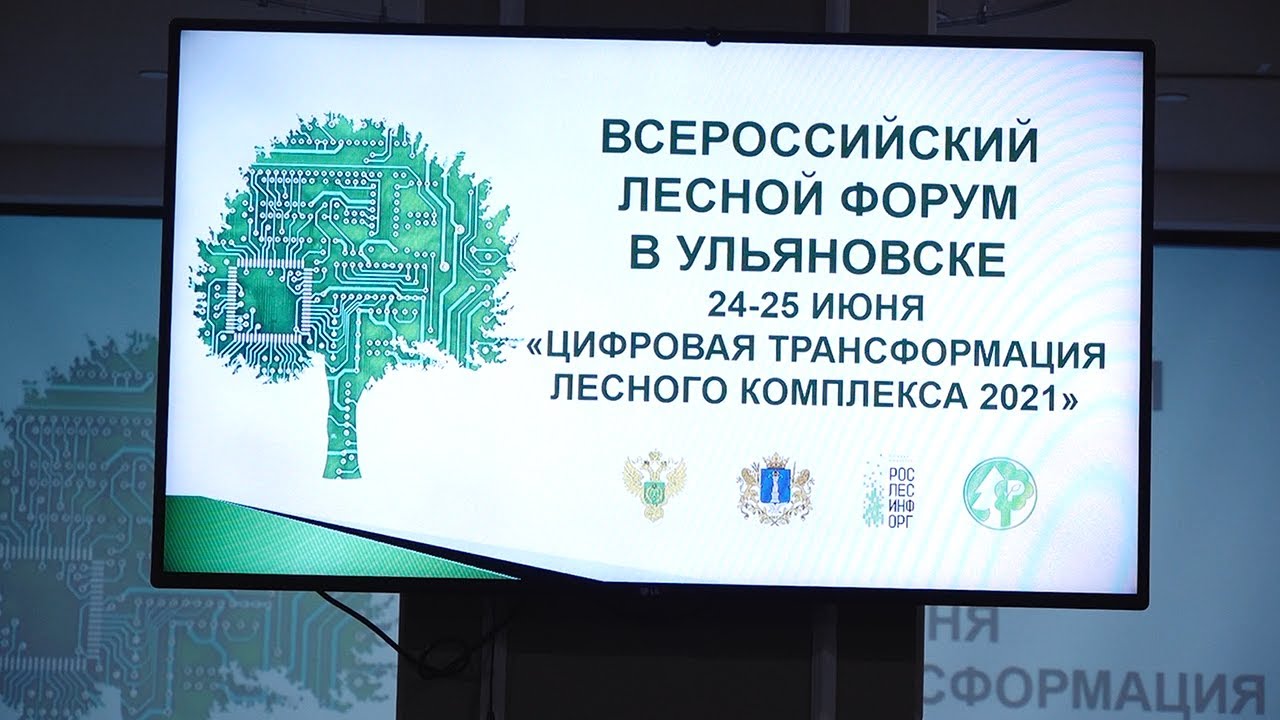 Оцифровали лес. Ульяновская область — единственный субъект в ПФО, кто оцифровал всё лесное хозяйство
