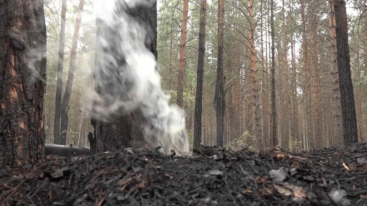 Ремонт моста через Свиягу и железнодорожных путей, искусственный интеллект в ковидных госпиталях