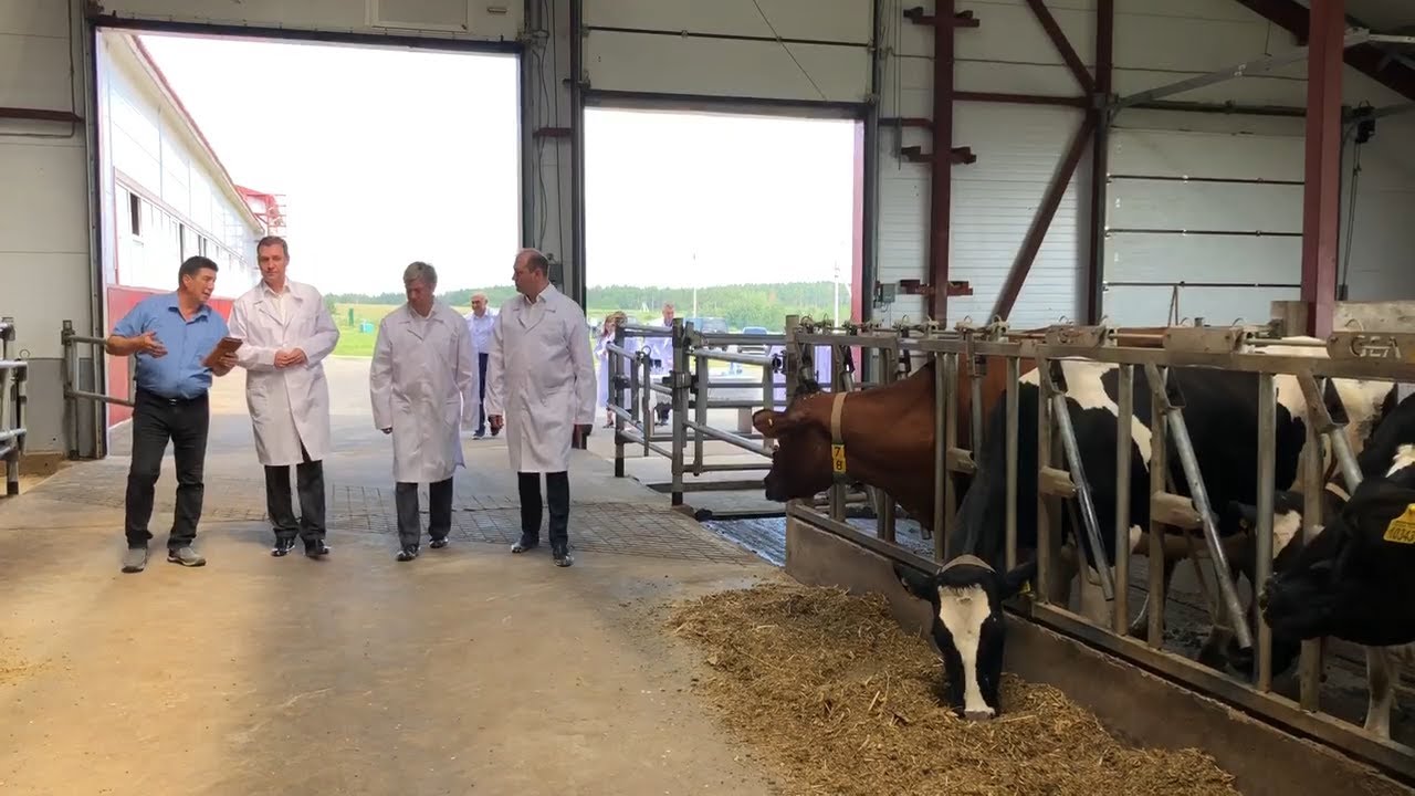 Ульяновскую область с рабочим визитом посетил Министр сельского хозяйства России Дмитрий Патрушев