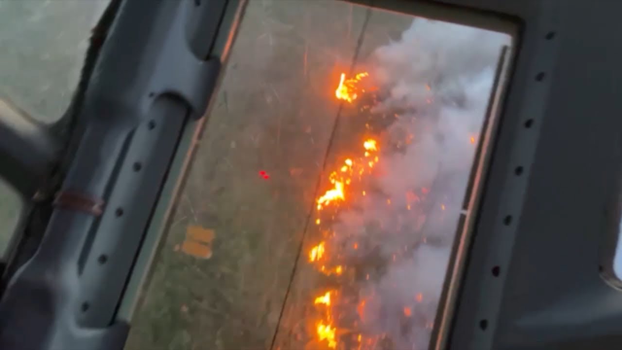 Сгорело 4500 га. Мордовский государственный природный заповедник тушат представители шести регионов