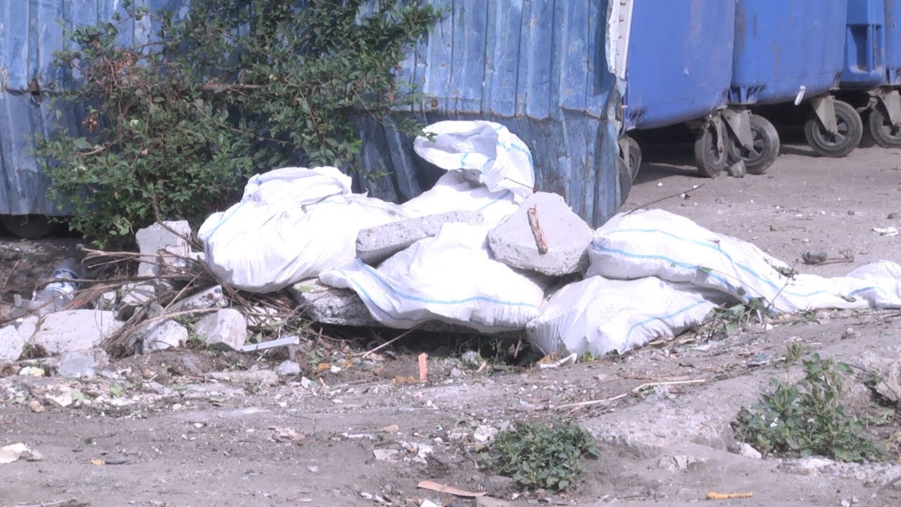 Переполненные баки, антисанитария, бездействие… Кто прав в грязном вопросе с неистребимым запахом?