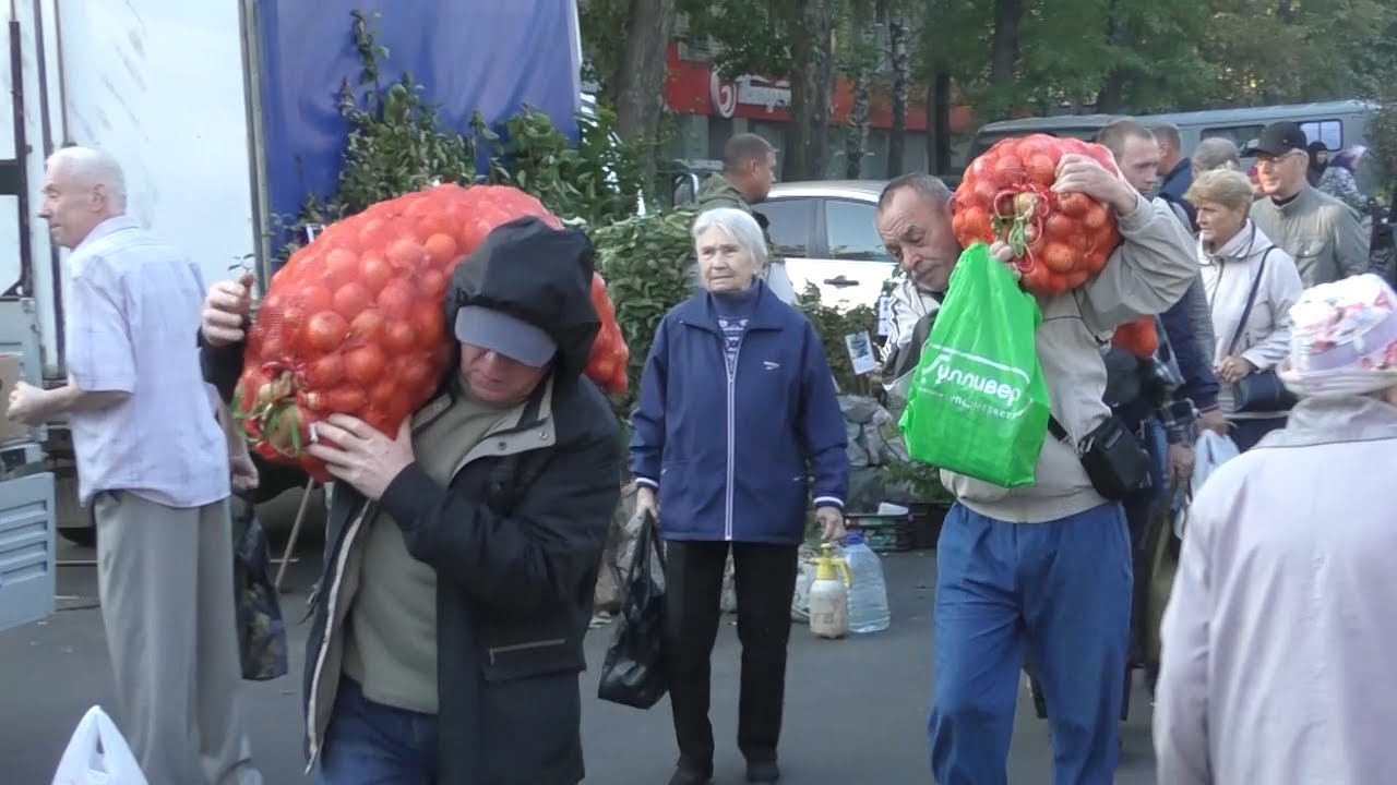 В Ульяновской области начали работать мини-ярмарки, туристический кешбэк и загрязненная река