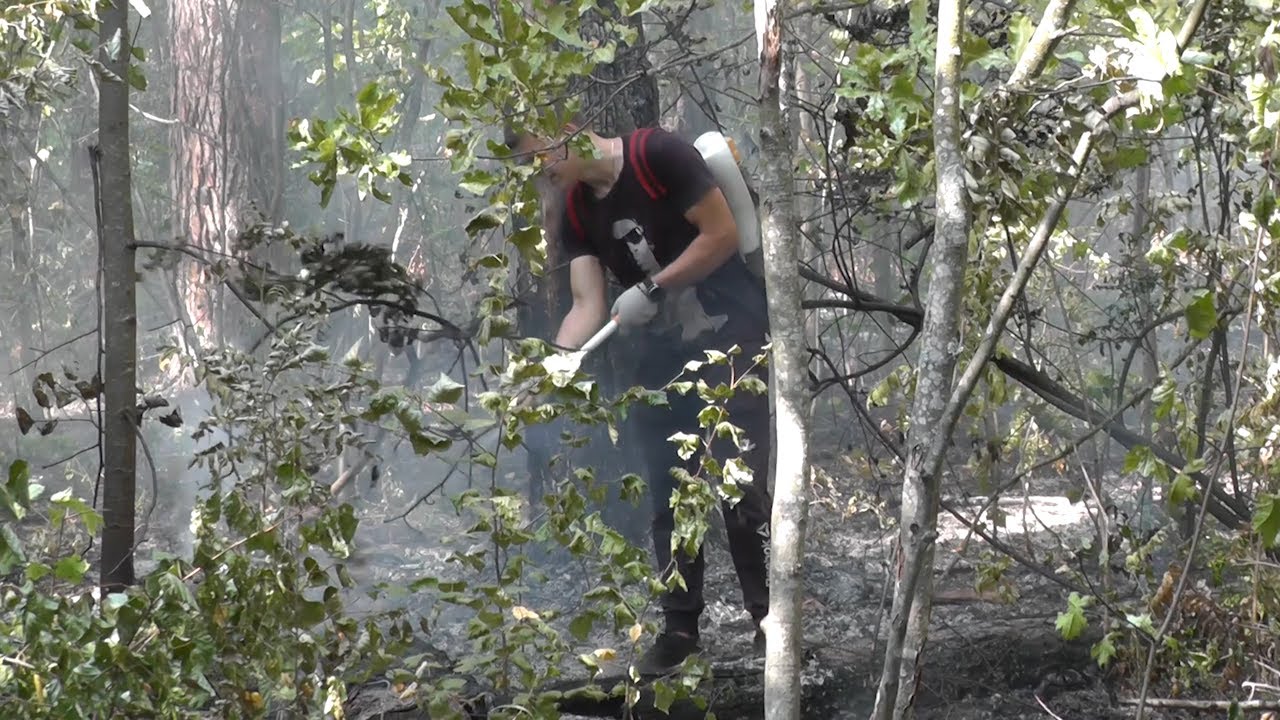 Над Димитровградом снова дым. Пожары в лесах