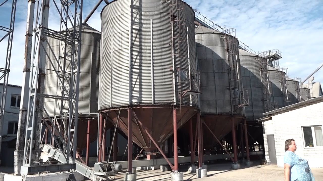 Не навреди, Гиппократ!