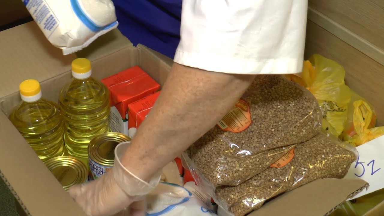 Новогодние сосны, пьяный водитель в СИЗО, питание на дистанционке и жилой дом не будут строить