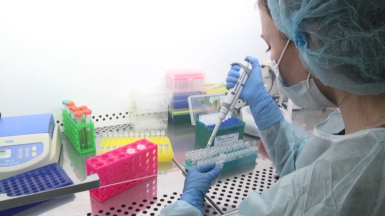 Алексей Русских в Палате экономики в Австрии и мировое соглашение по делу об отпуске министра в Ницце