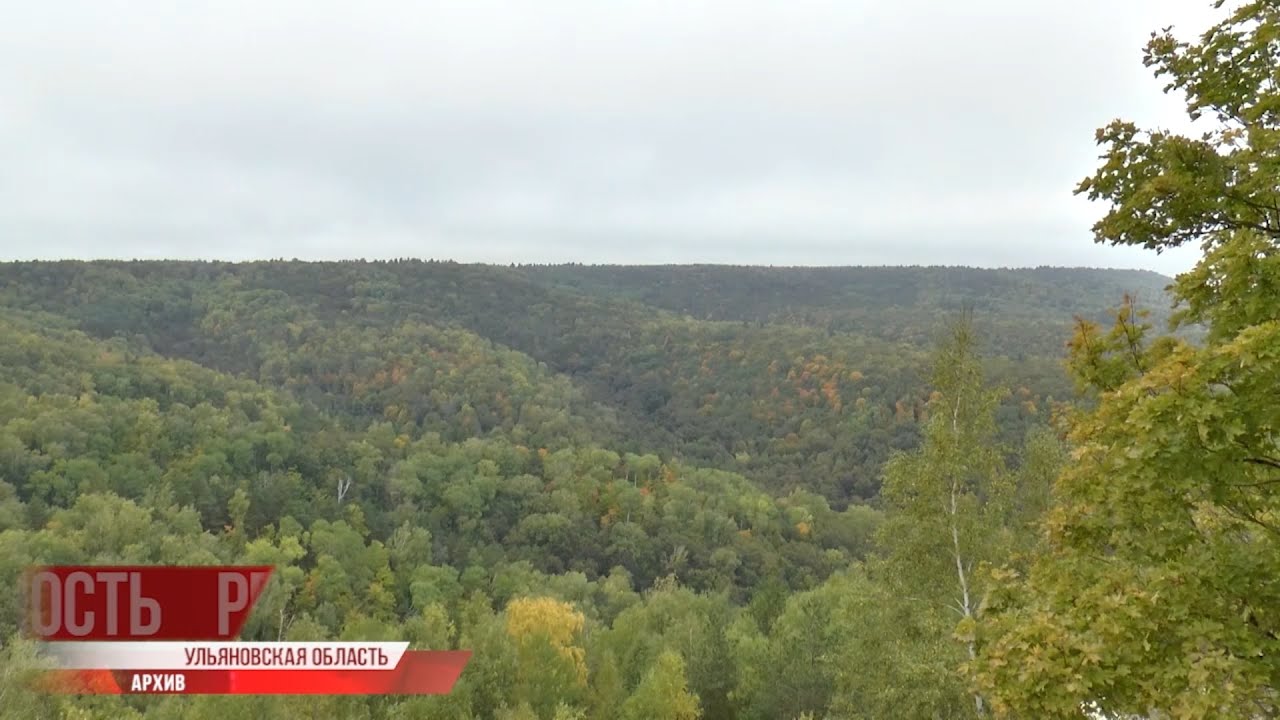 В лесах раскидали вакцину от бешенства, новый вид киосков и снос аварийных деревьев