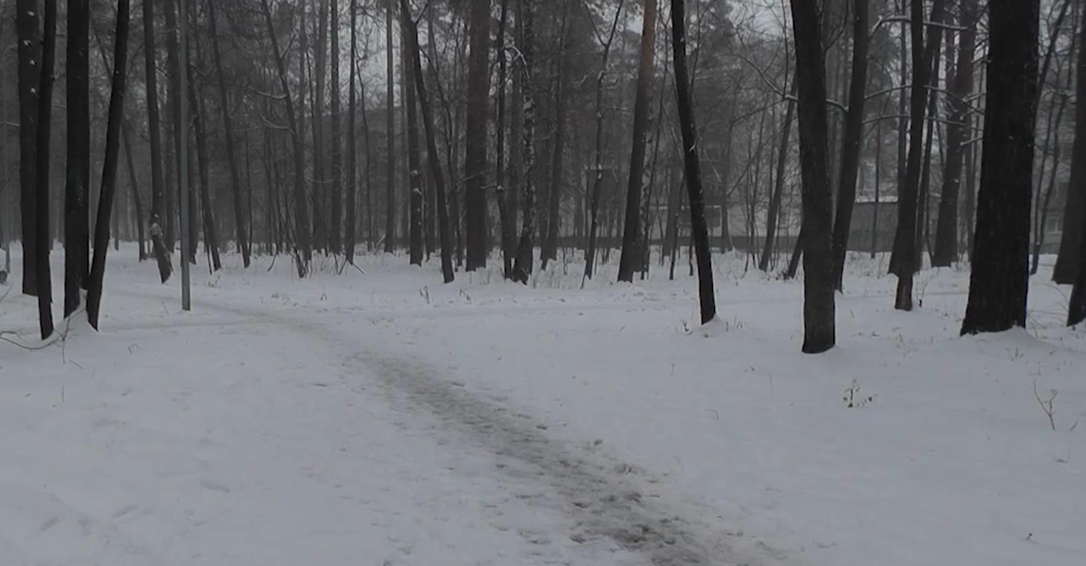 Правда зима. Настоящая зима в городе. Снежное расследование (#9). Минусы зимы.