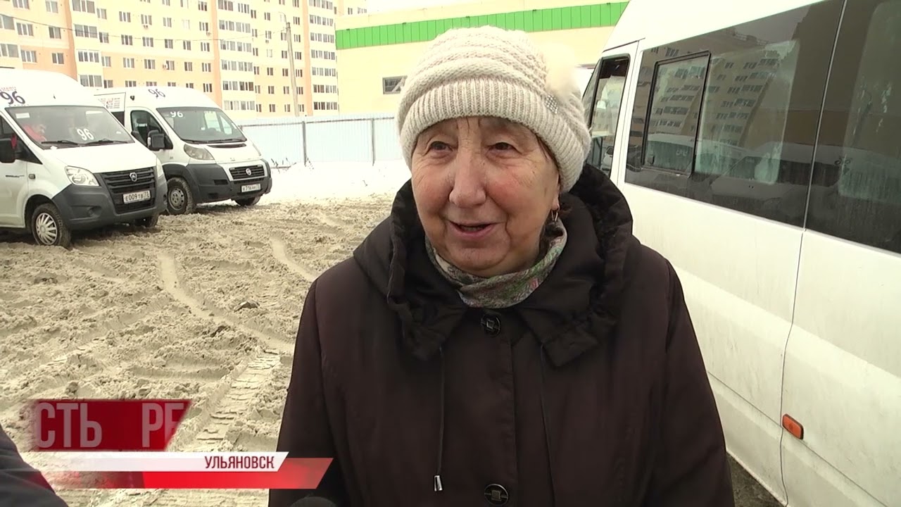 Собаки в законе. Бродячие псы нарушают спокойствие жителей микрорайона Репино