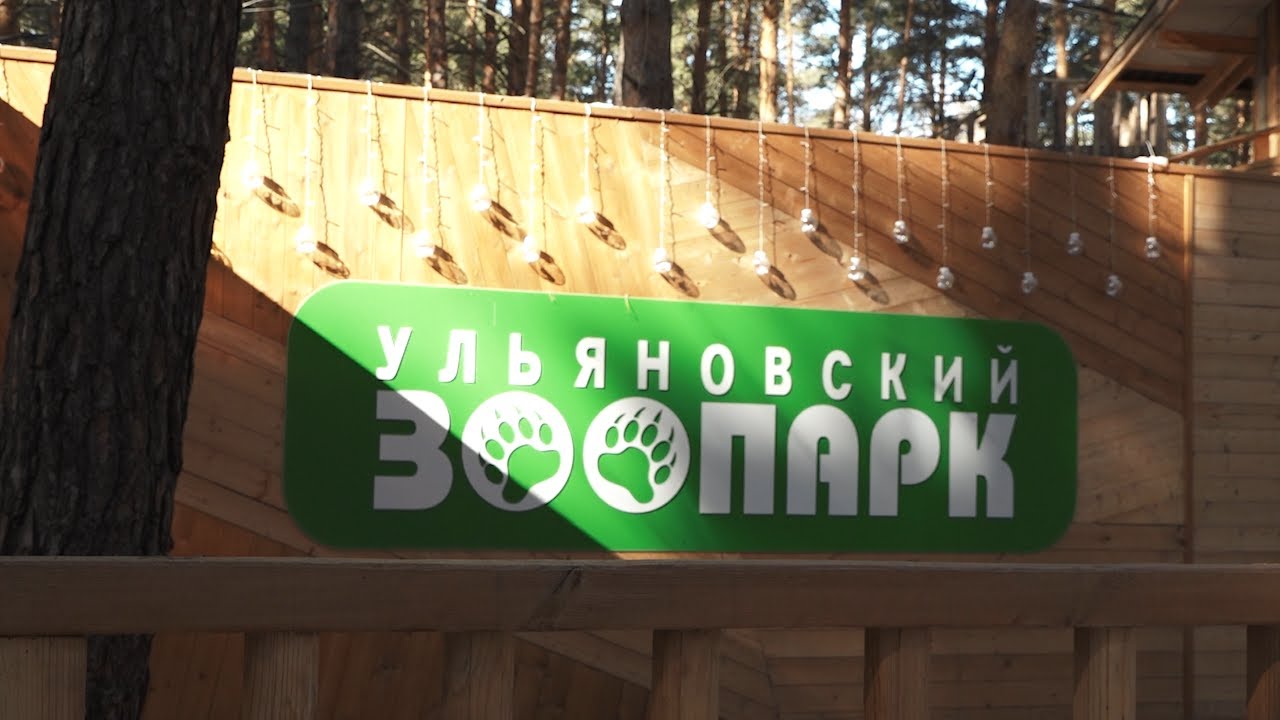 Время на зоо. Единственный в Ульяновске лицензированный зоопарк ждет пополнение
