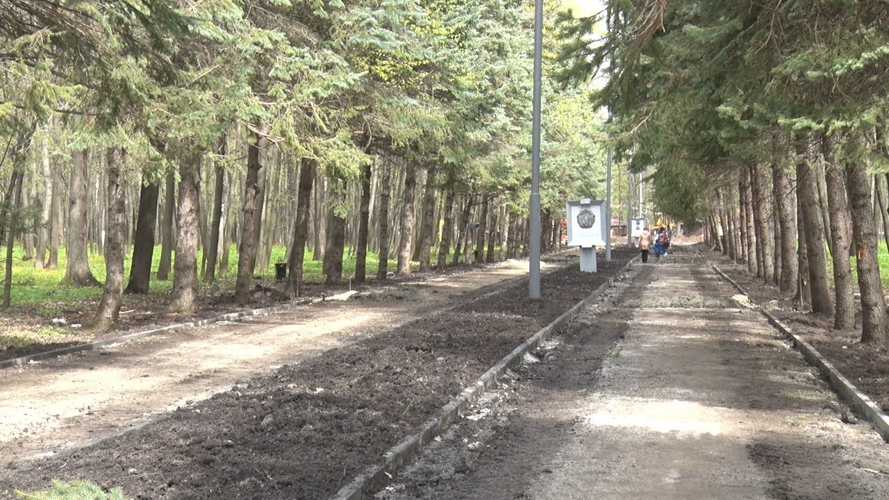 Лето в комфорте. К середине июля в Ульяновске преобразится парк Победы. Как именно?