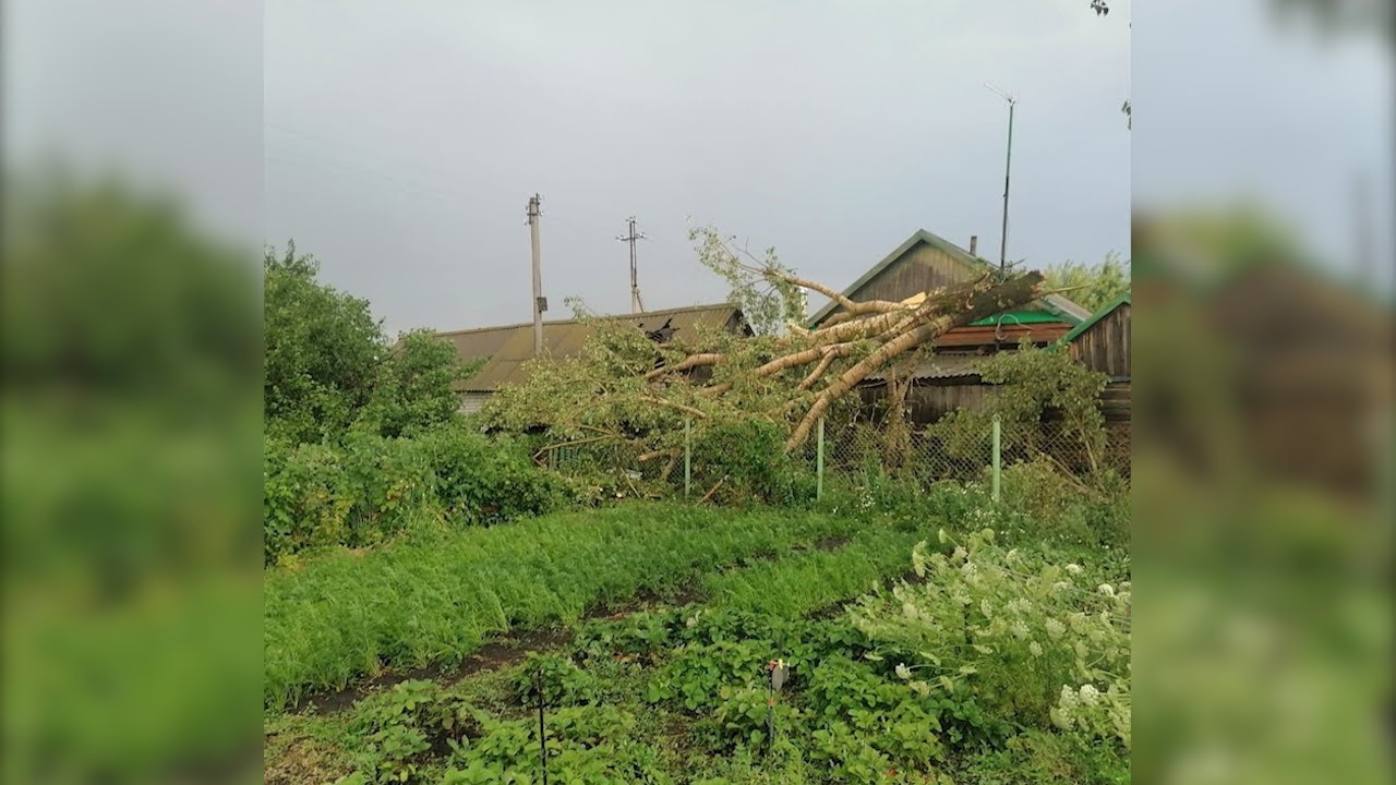 Ураган разбушевался. Жаркие дни для Новомалыклинского района закончились разгулом стихии