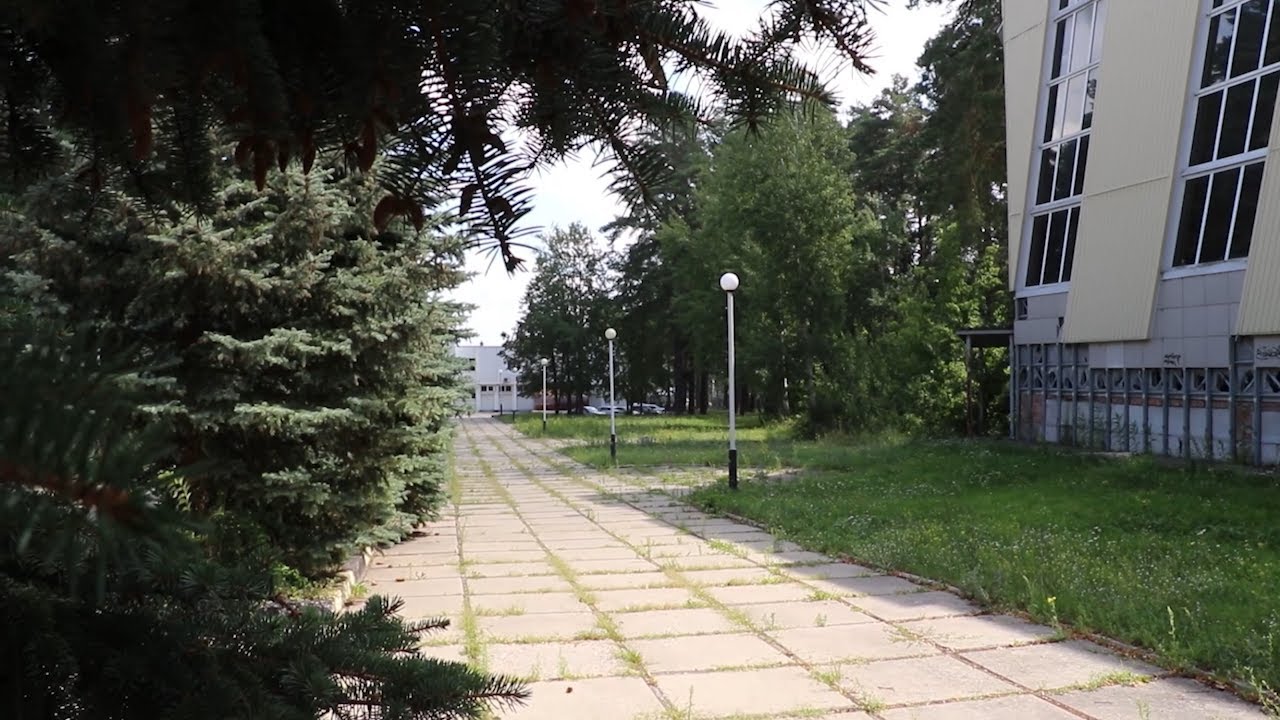 Пространство — спорту. Как в Димитровграде поддерживают спортивные достижения