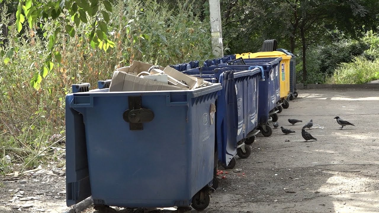 Свалить в кучу. Кто ответит за мусорный бардак в Ульяновской области?