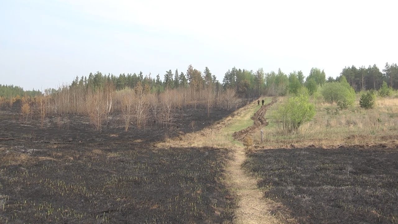 Огненные итоги. Неуправляемая стихия в горячие месяцы обошла Ульяновскую область