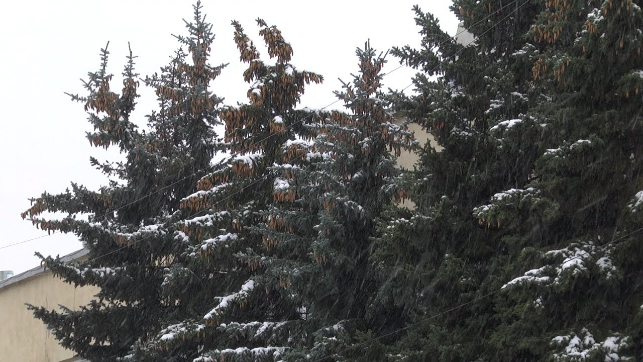 Первая битва со снегом. Отчеты главы Ульяновска «потонули» под снегопадом