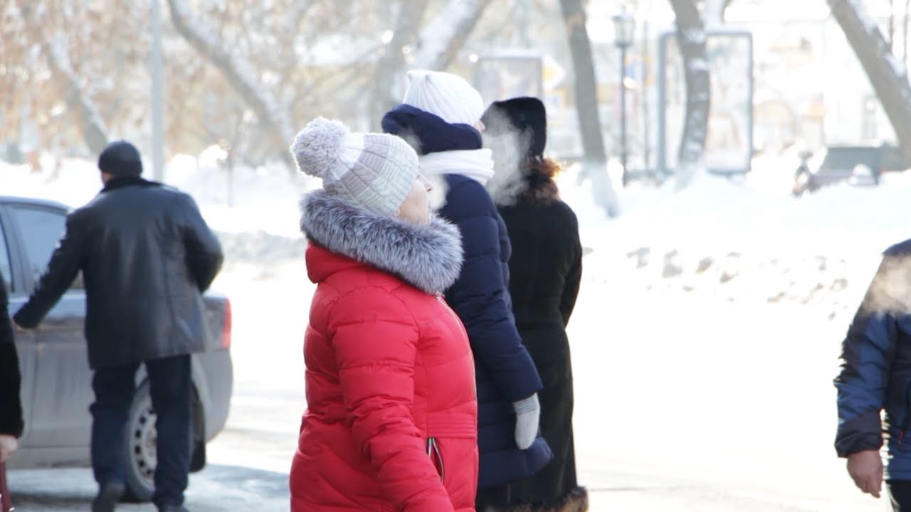 Глубокая заморозка. Лютый холод и морозный анабиоз накрыли Ульяновскую область