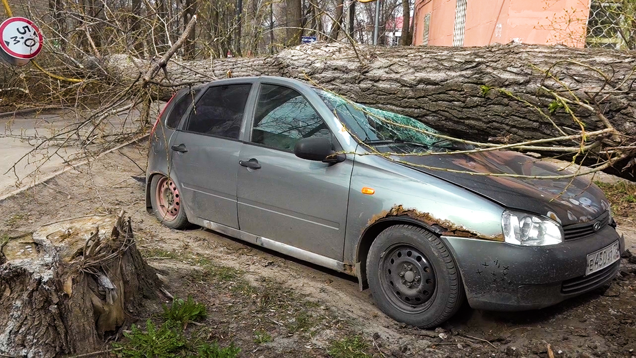 Ураганный ветер в городе: упавшие деревья, разбитые машины, летающие  остановки, оборванные провода — Репортер