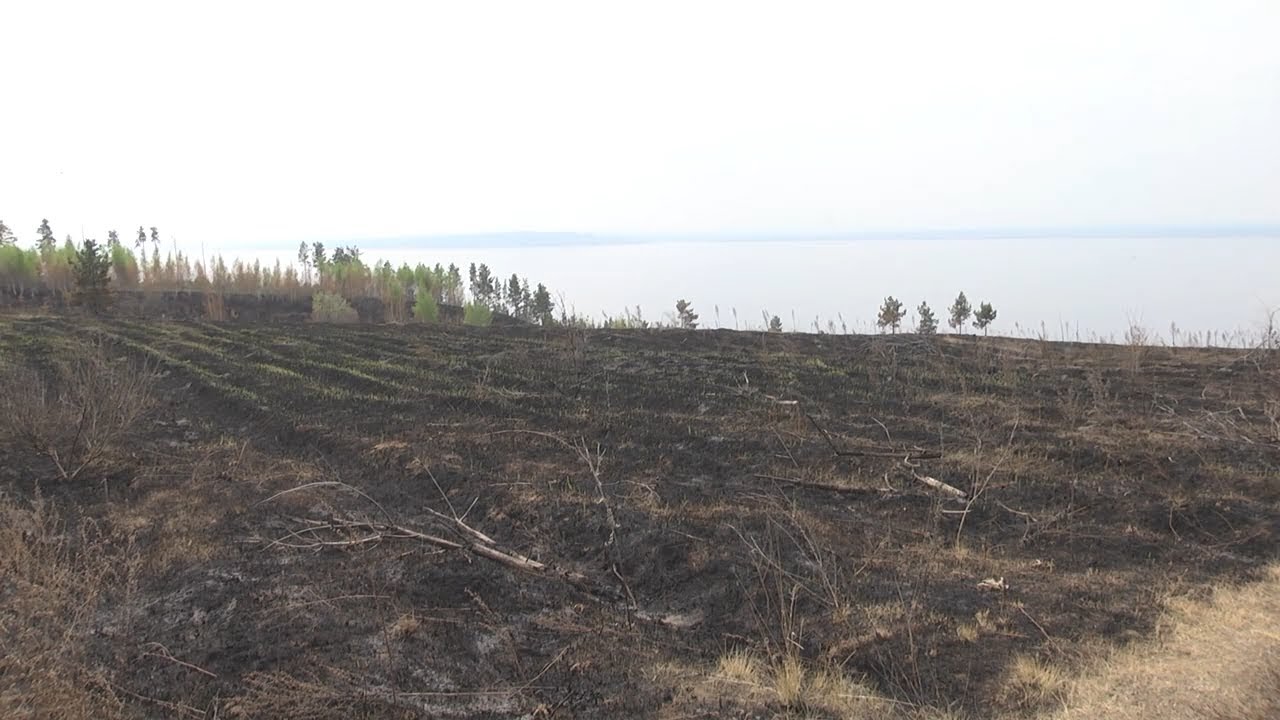 К огню готовы. Пожароопасный сезон в Ульяновской области наступил на две недели раньше