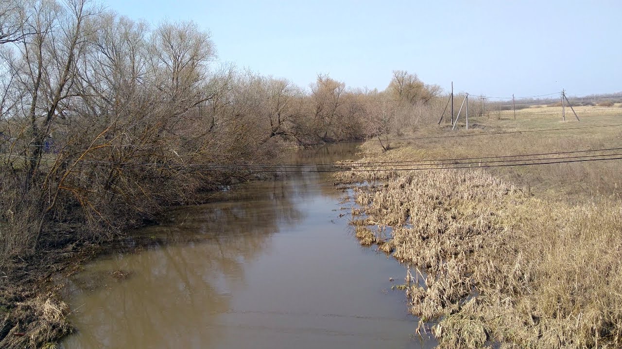 Чистые берега. Русла четырёх рек в Ульяновской области нуждаются в восстановлении