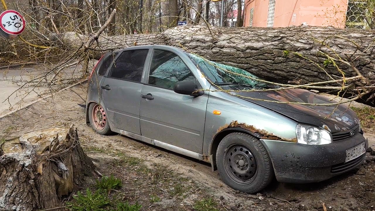 Ураганный ветер в городе: упавшие деревья, разбитые машины, летающие остановки, оборванные провода