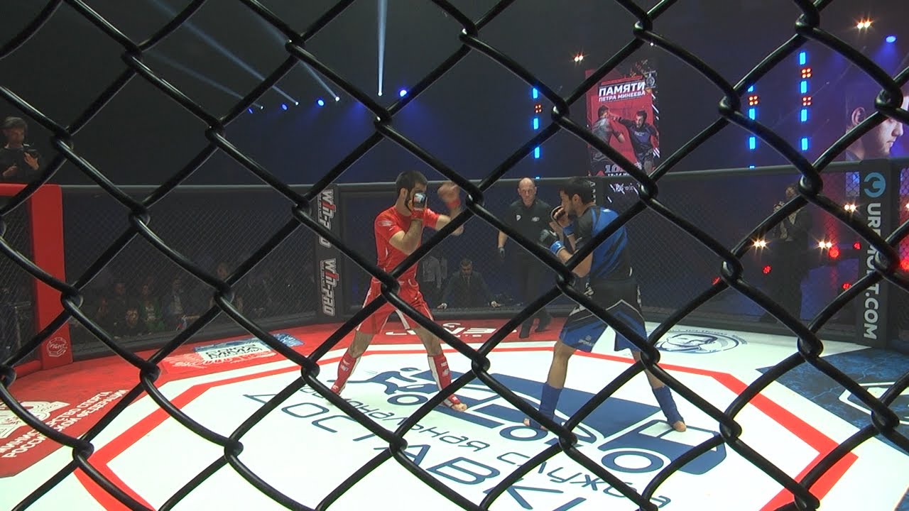 Бойцы со всей страны. Турнир памяти Петра Минеева прошёл в Ульяновске