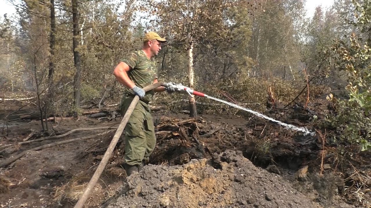 Огонь под ногами. В Димитровграде повторно горят торфяники