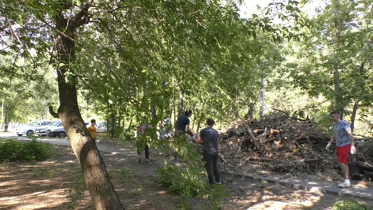 Порядок своими руками. В Димитровграде продолжаются масштабные субботники