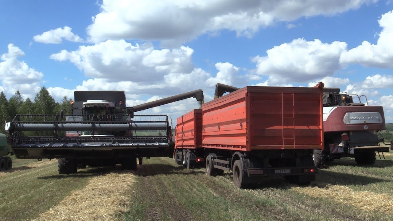 По зёрнышку. В нескольких районах Ульяновской области намолот зерновых перевалил за 100 тысяч тонн