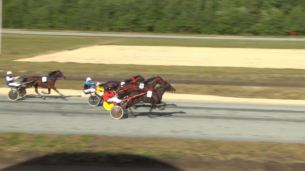 К финишу со всех ног. На скачках в Ульяновске разыграли кубок губернатора Ульяновской области