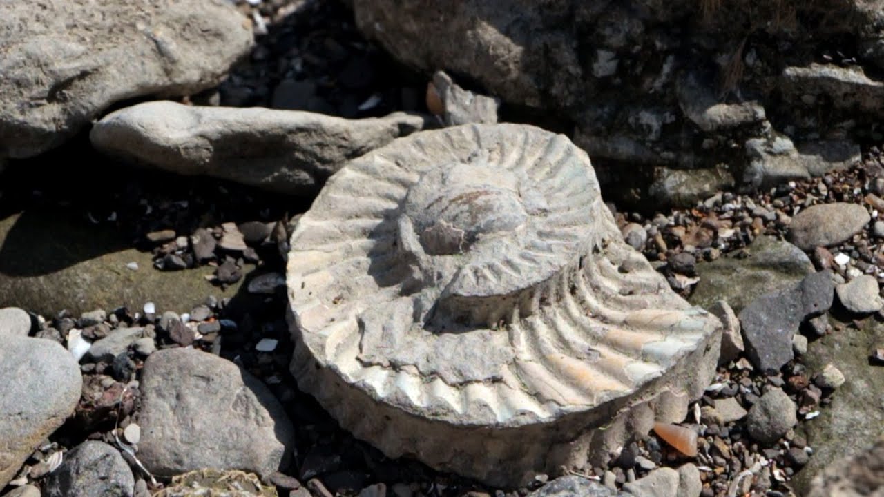 Кто ищет и что находит в геопарке «Ундория»?