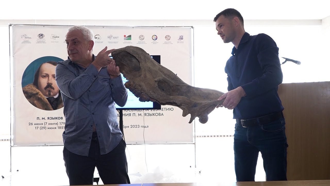 «Хранители древности». Вятские палеонтологи подарили череп шерстистого носорога ульяновским коллегам