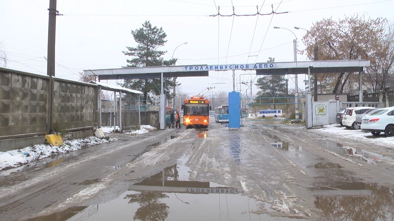 Рост рождаемости, потребность в водителях, отремонтированная культура