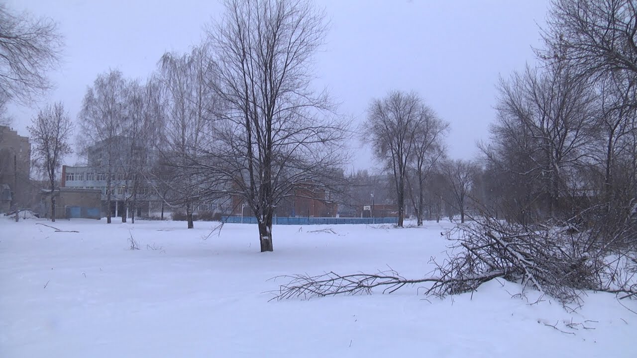 Мусор от благоустройства: спиленные ветки «спрятались» под снегом у забора гимназии