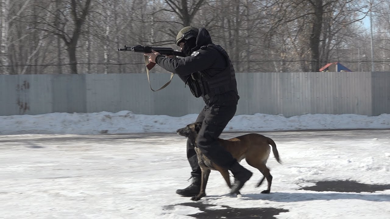 Награда от Росгвардии