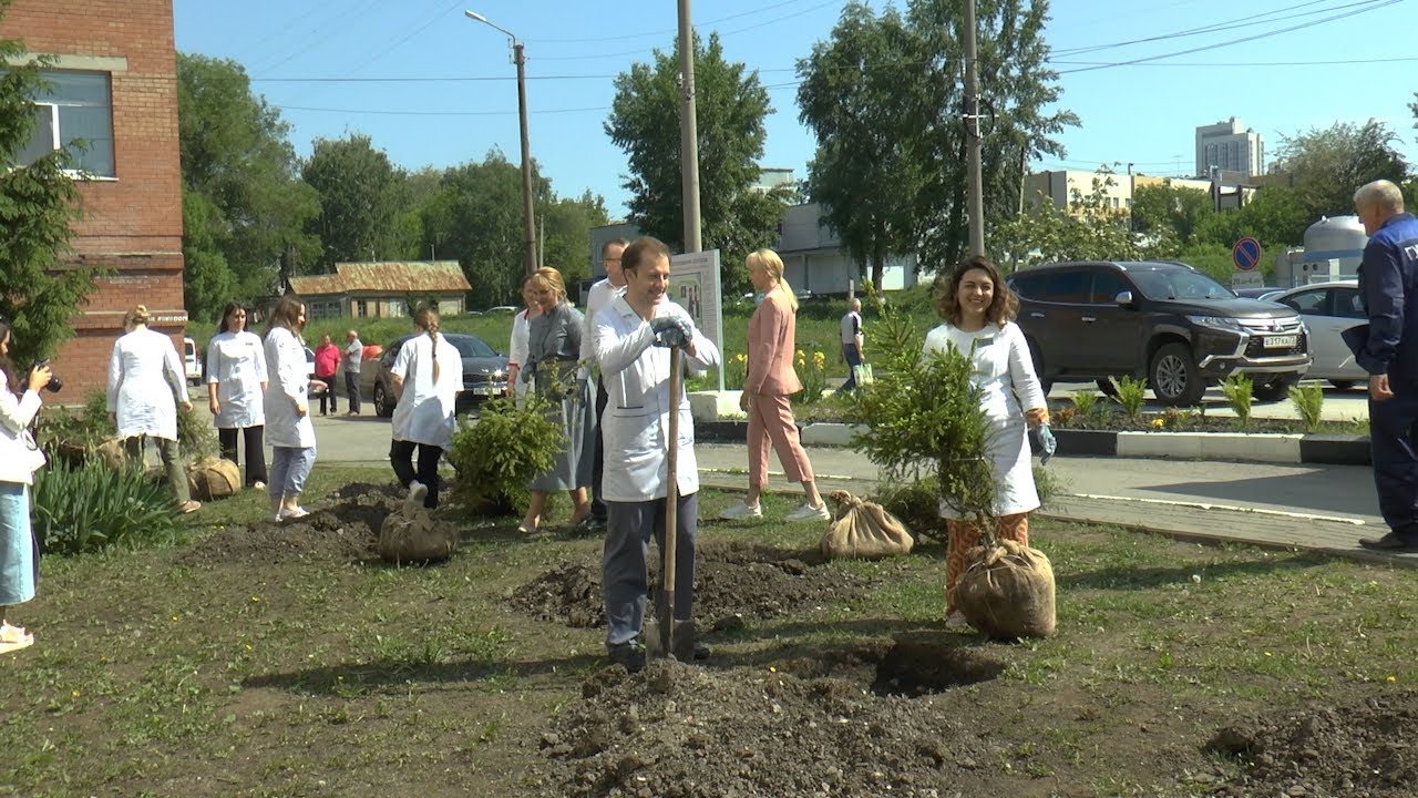 Здоровые всходы: «Онкопатруль» высадил аллею в Ульяновске