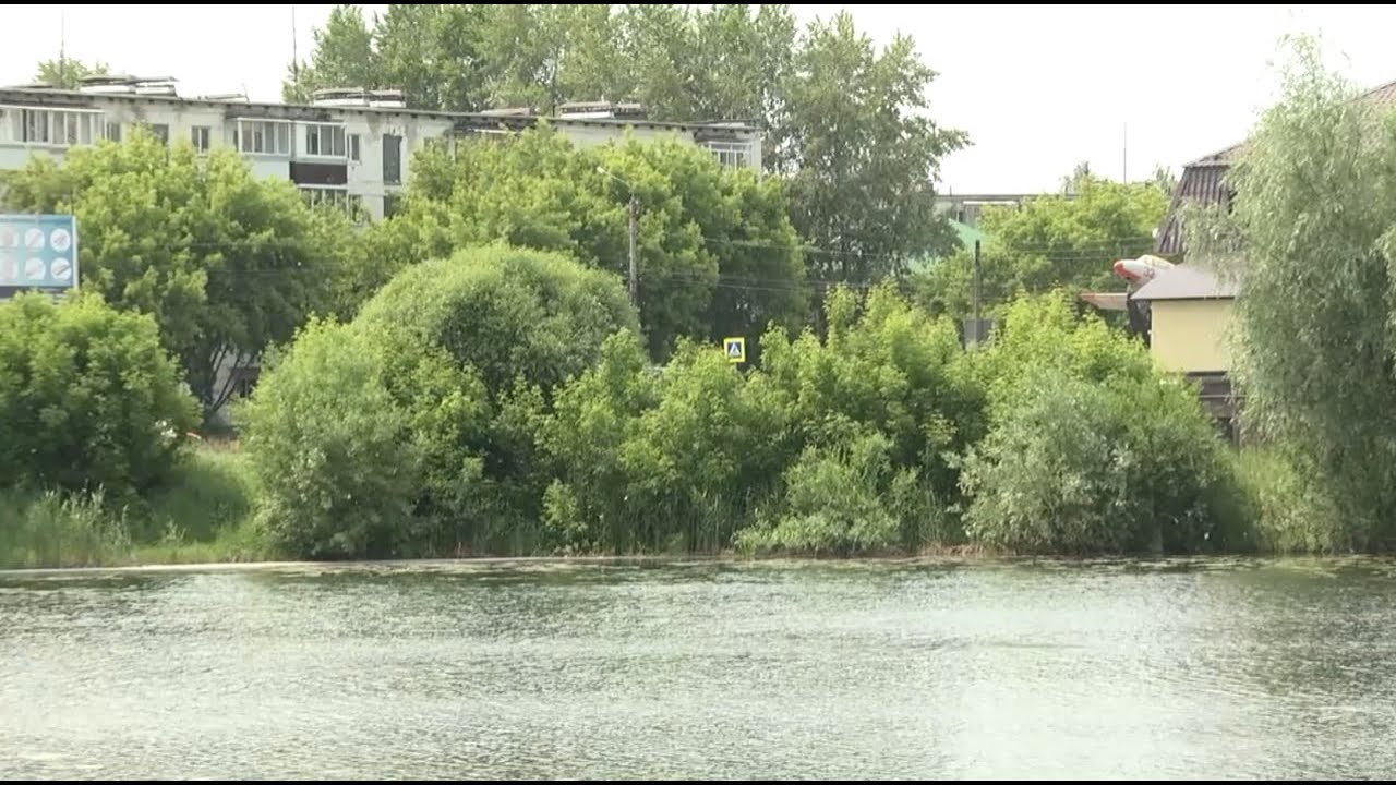 Из новостей региона