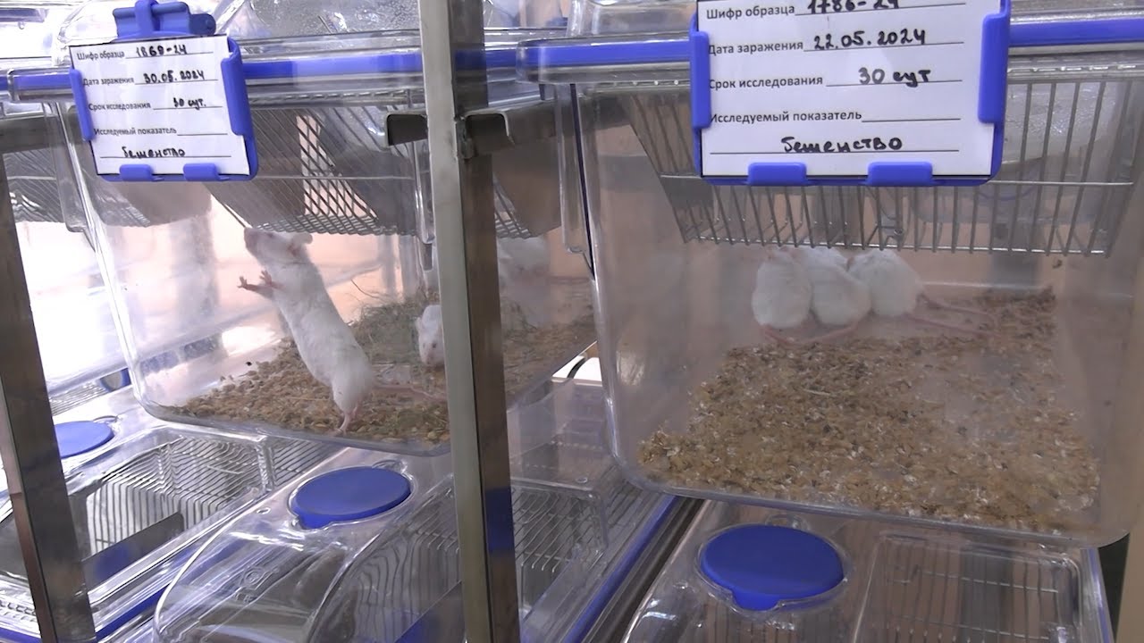 Обмен опытом с Югрой