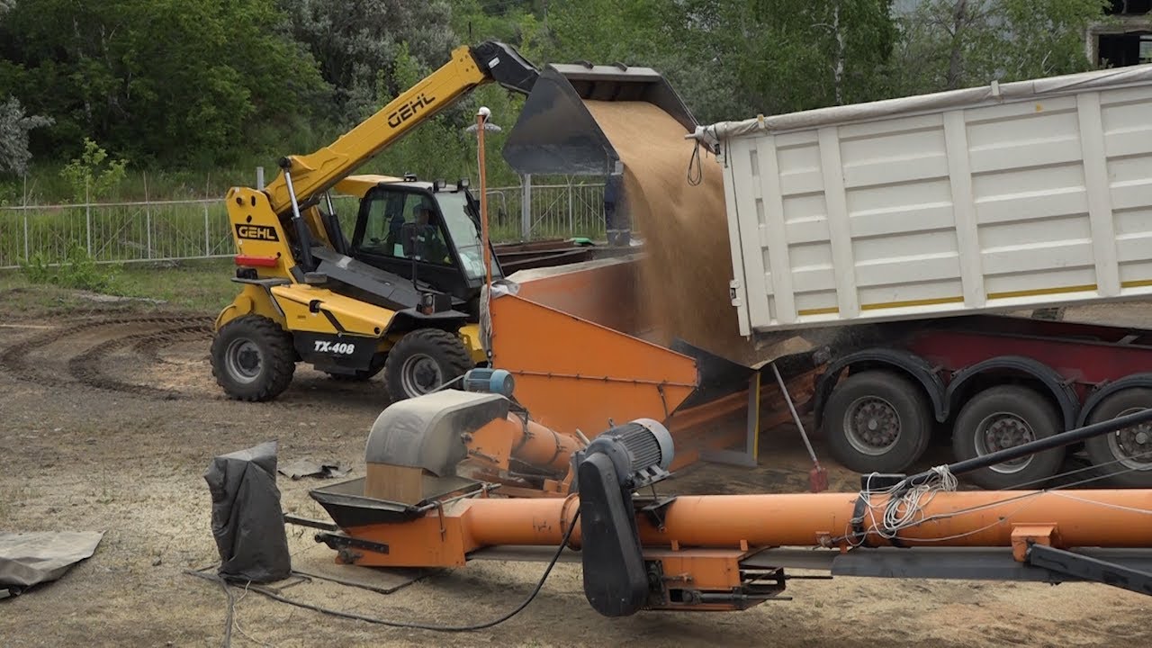 Импортёры зерновых